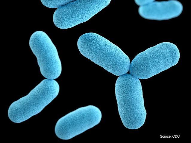 Stakeholders Mobilise Against Diphtheria in Kankia’s Worst-Hit Community.”